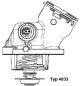 BorgWarner (Wahler) Thermostat, Kühlmittel 4833.100D
