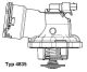 BorgWarner (Wahler) Thermostat, Kühlmittel 4835.87D