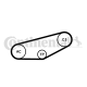 CONTINENTAL CTAM Keilrippenriemensatz 4PK855K1