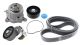 SKF Wasserpumpe + Keilrippenriemensatz VKMC 31154