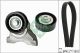 Schaeffler INA Keilrippenriemensatz 529 0007 10