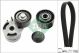 Schaeffler INA Keilrippenriemensatz 529 0012 10