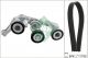 Schaeffler INA Keilrippenriemensatz 529 0081 10