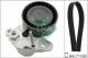 Schaeffler INA Keilrippenriemensatz 529 0159 10