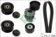 Schaeffler INA Keilrippenriemensatz 529 0316 10