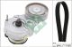 Schaeffler INA Keilrippenriemensatz 529 0328 10