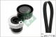 Schaeffler INA Keilrippenriemensatz 529 0339 10