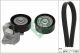 Schaeffler INA Keilrippenriemensatz 529 0349 10