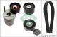 Schaeffler INA Keilrippenriemensatz 529 0368 10