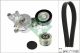 Schaeffler INA Keilrippenriemensatz 529 0468 20