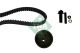 Schaeffler INA Zahnriemensatz 530 0003 10