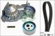 Schaeffler INA Wasserpumpe + Zahnriemensatz 530 0018 31