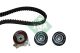Schaeffler INA Zahnriemensatz 530 0049 10