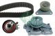 Schaeffler INA Wasserpumpe + Zahnriemensatz 530 0063 30