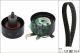 Schaeffler INA Zahnriemensatz 530 0066 10