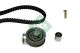 Schaeffler INA Zahnriemensatz 530 0069 10