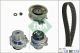 Schaeffler INA Wasserpumpe + Zahnriemensatz 530 0171 31