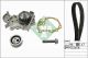 Schaeffler INA Wasserpumpe + Zahnriemensatz 530 0191 31