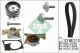 Schaeffler INA Wasserpumpe + Zahnriemensatz 530 0197 32