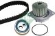 Schaeffler INA Wasserpumpe + Zahnriemensatz 530 0252 30
