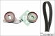 Schaeffler INA Zahnriemensatz 530 0268 10