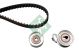 Schaeffler INA Zahnriemensatz 530 0269 10