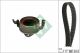 Schaeffler INA Zahnriemensatz 530 0308 10