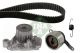 Schaeffler INA Wasserpumpe + Zahnriemensatz 530 0313 30