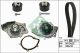 Schaeffler INA Wasserpumpe + Zahnriemensatz 530 0368 30
