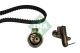 Schaeffler INA Zahnriemensatz 530 0409 10