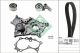Schaeffler INA Wasserpumpe + Zahnriemensatz 530 0422 30