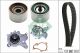 Schaeffler INA Wasserpumpe + Zahnriemensatz 530 0502 30