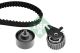 Schaeffler INA Zahnriemensatz 530 0507 10