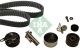 Schaeffler INA Zahnriemensatz 530 0539 10