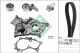 Schaeffler INA Wasserpumpe + Zahnriemensatz 530 0543 30