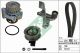 Schaeffler INA Wasserpumpe + Zahnriemensatz 530 0546 30