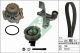 Schaeffler INA Wasserpumpe + Zahnriemensatz 530 0546 31