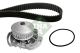 Schaeffler INA Wasserpumpe + Zahnriemensatz 530 0586 30
