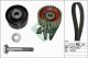 Schaeffler INA Zahnriemensatz 530 0606 10