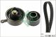 Schaeffler INA Zahnriemensatz 530 0664 10