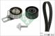 Schaeffler INA Zahnriemensatz 530 0698 10