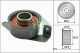 Schaeffler INA Spannrolle, Zahnriemen 531 0029 20