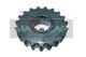 MAXGEAR Zahnrad, Kurbelwelle 54-0015