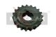 MAXGEAR Zahnrad, Kurbelwelle 54-0016