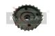 MAXGEAR Zahnrad, Kurbelwelle 54-0024