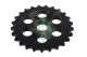 Schaeffler INA Zahnrad, Ölpumpe 554 0157 10