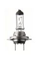 SPAHN GLÜHLAMPEN Glühlampe, Abbiegescheinwerfer 57162L