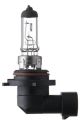SPAHN GLÜHLAMPEN Glühlampe, Fernscheinwerfer 58455