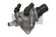 MAXGEAR Thermostat, Kühlmittel 18-0247