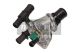 MAXGEAR Thermostat, Kühlmittel 18-0248